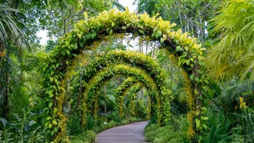 Beautiful Arch Flowers